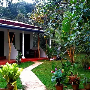 nethmi-homestay-sigiriya.kandyhotelsnow.com/